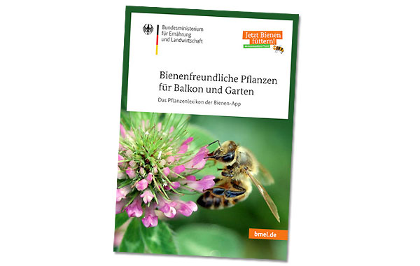 Gratisproben Bienen Pflanzenlexikon