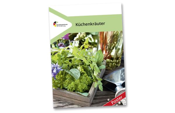 Gratisproben Kuechenkraeuter