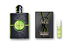 Y Eau de Parfum YSL  Illicit Green Parfüm Gratisproben