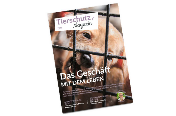 Gratisproben Tierschutz Magazin